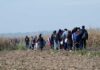 U.S. Government Alerts Against Birth Tourism Amid Citizenship Law Revisions