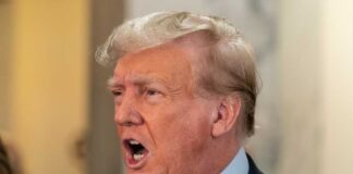 Clarifying Misconceptions on U.S. Citizen Minors' Deportations During the Trump Admin