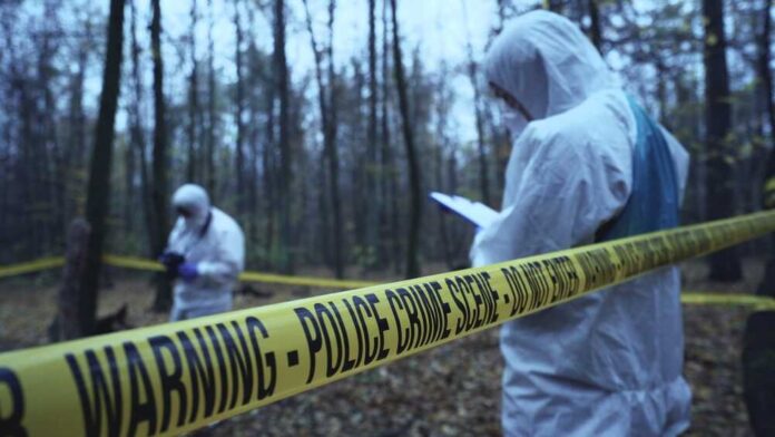 2453060271 featured image Tragic Deaths of Campers at Isle Royale National Park: Investigation Underway