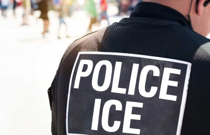 2631812141 featured image ICE Agents Doxxed by LA-Area Dem Organization in Online Protest