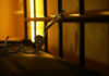 Open handcuffs hanging in dimly lit cell
