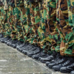 European Forces SWARM Greenland Territory