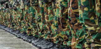 European Forces SWARM Greenland Territory