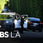 Woman charged with attempted murder after allegedly