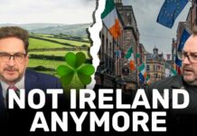 Vandalising Ireland: How Brussels Rule is Destroying a