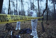 Child Exploitation Scandal: Beloved Movie House Tied