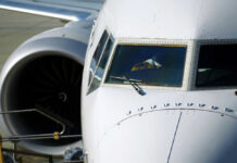 Southwest STUNS Robbed Pilot — Unforgettable Moment