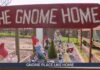 Celebrity Gnomes INVADE Elite British Garden Show Chelsea Flower Show gnome ban lifted to encourage