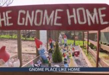 Chelsea Flower Show gnome ban lifted to encourage