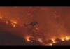 State Farm LICENSE SUSPENDED — California Explodes State Farm under fire after California probe into wildfire claims