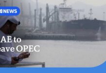 UAE announces shock exit from OPEC oil cartel | ABC NEWS