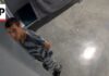 Trump-Era DHS in Crisis: Suicide Scandal Unfolds ICE detainees dying by suicide at 'alarming' rate, AP investigation finds