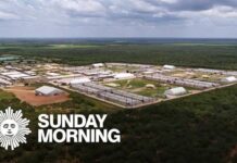 Sanctuary Chaos Lets Child Predators Walk Children "held like criminals" inside ICE detention center