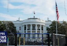 Judge Smacks Down UFC Ban White House UFC event spotlights Trump’s decades-long partnership with Dana White