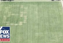 '86 47' VANDALIZED on grass at National Mall