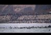 Border Meltdown Engulfs Ceuta Thousands of migrants storm Ceuta border from Morocco