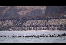 Thousands of migrants storm Ceuta border from Morocco