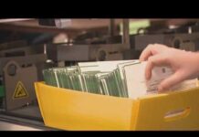 California set to propose felony charges for election interference