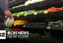 Mayor Mamdani announced 5 city-owned grocery stores will offer discounts on healthy staples