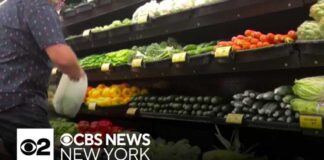 Mayor Mamdani announced 5 city-owned grocery stores will offer discounts on healthy staples
