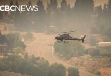 Wildfire Chaos Triggers Province-Wide Emergency CBC Radio Special: Fast-moving wildfire forces evacuations in B.C. Interior