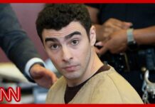 CEO Gunned Down—Chilling Court Admission Luigi Mangione pleads guilty: New details of CEO killing