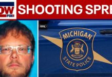 NEW: 5 killed in Michigan shooting spree, suspect also dead