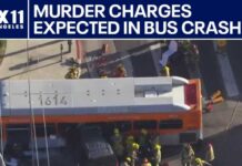 Driver facing murder charges in deadly Metro crash: LAPD