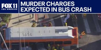 Driver facing murder charges in deadly Metro crash: LAPD