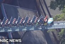 Ejected Mid-Loop – Chaos at Six Flags Witnesses recount Goliath ride death at Six Flags Over Georgia