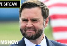 LIVE: JD Vance delivers remarks at GOP rally in Michigan as midterm blitz continues