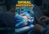 Sedation Shots Spark Consent Uproar How Is Spinal Anesthesia Given? 💉3D Animation | How Doctors Give Spinal Anesthesia Before Surgery