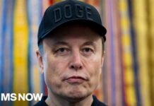 Musk vs. Congress: Who Really Pulls Strings? Elon Musk prepares for Dem investigations after midterms